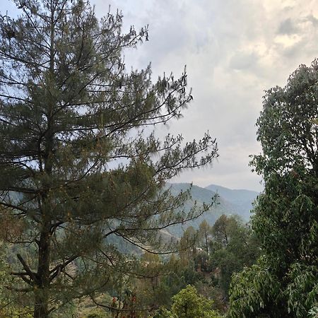 Himwanderer Camps & Cottages Pangot Nainital Esterno foto