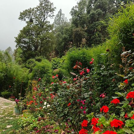 Himwanderer Camps & Cottages Pangot Nainital Esterno foto