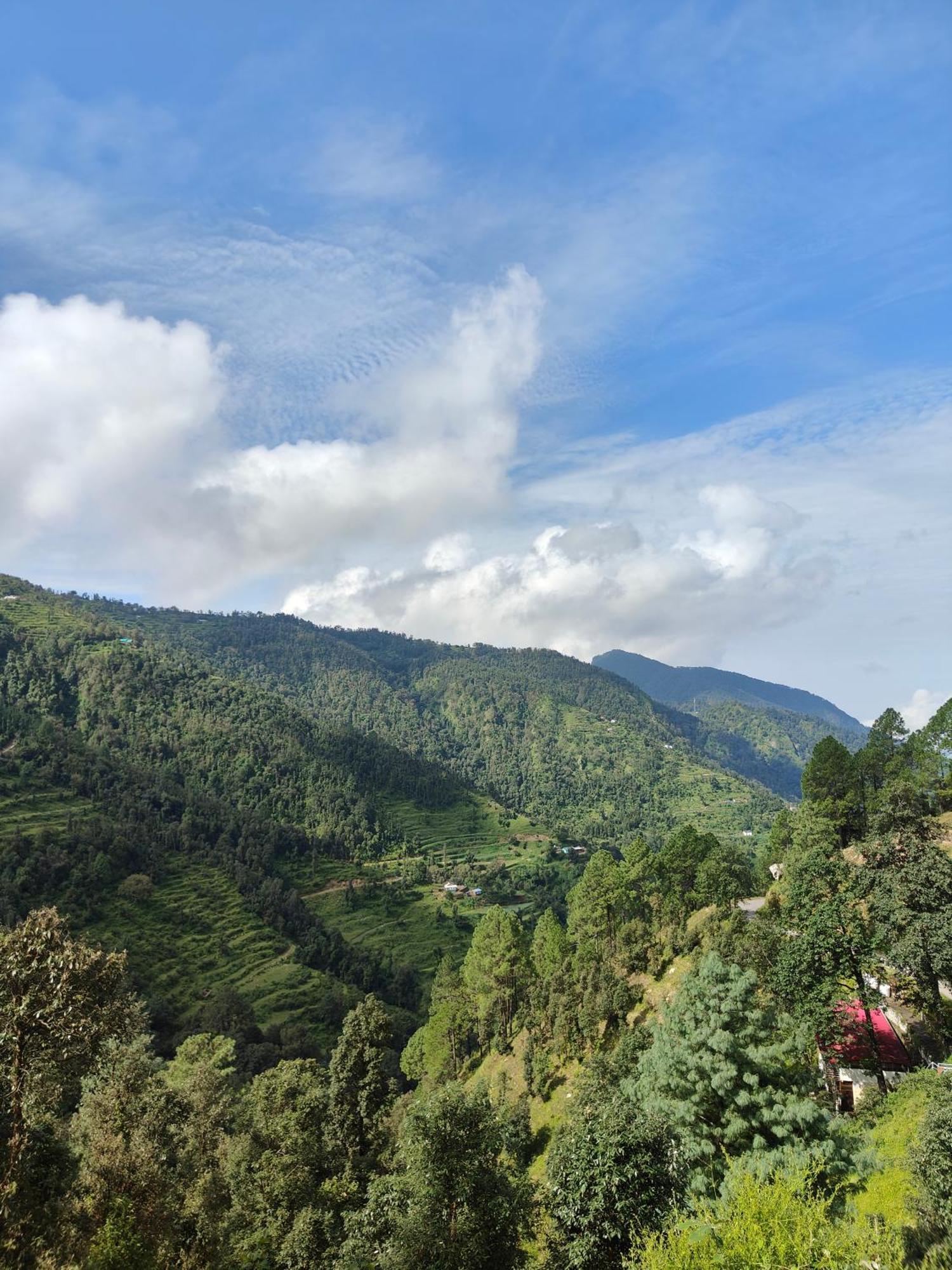 Himwanderer Camps & Cottages Pangot Nainital Esterno foto