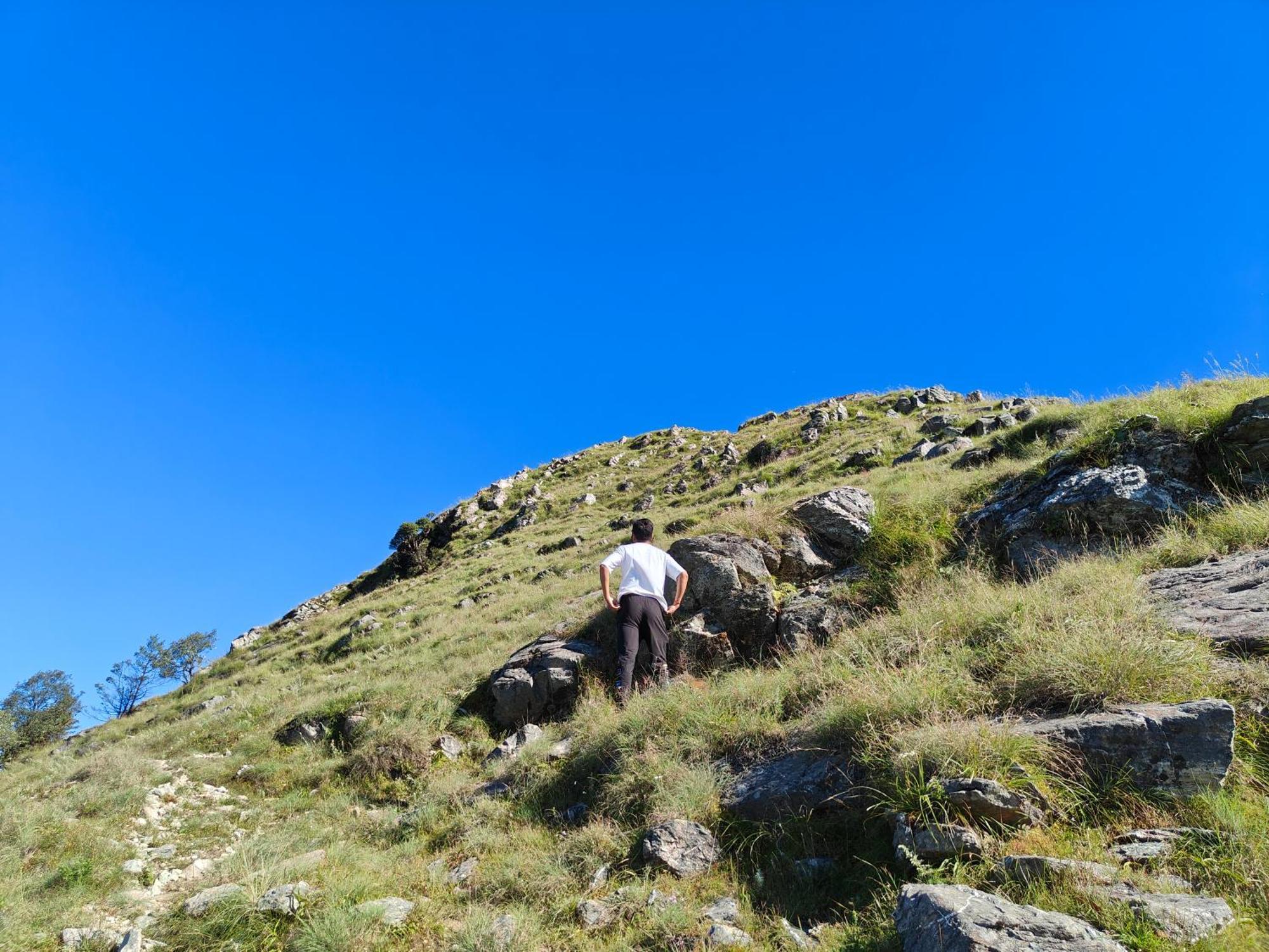 Himwanderer Camps & Cottages Pangot Nainital Esterno foto