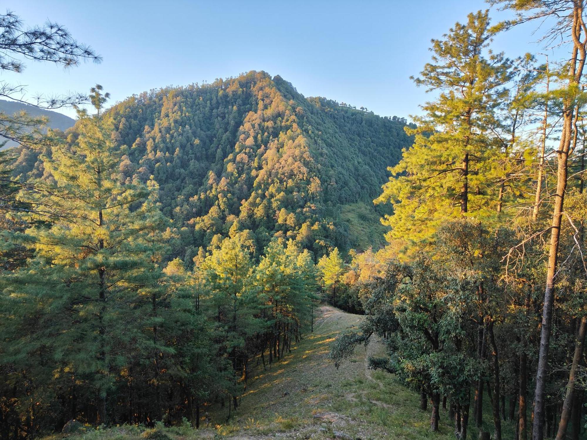 Himwanderer Camps & Cottages Pangot Nainital Esterno foto