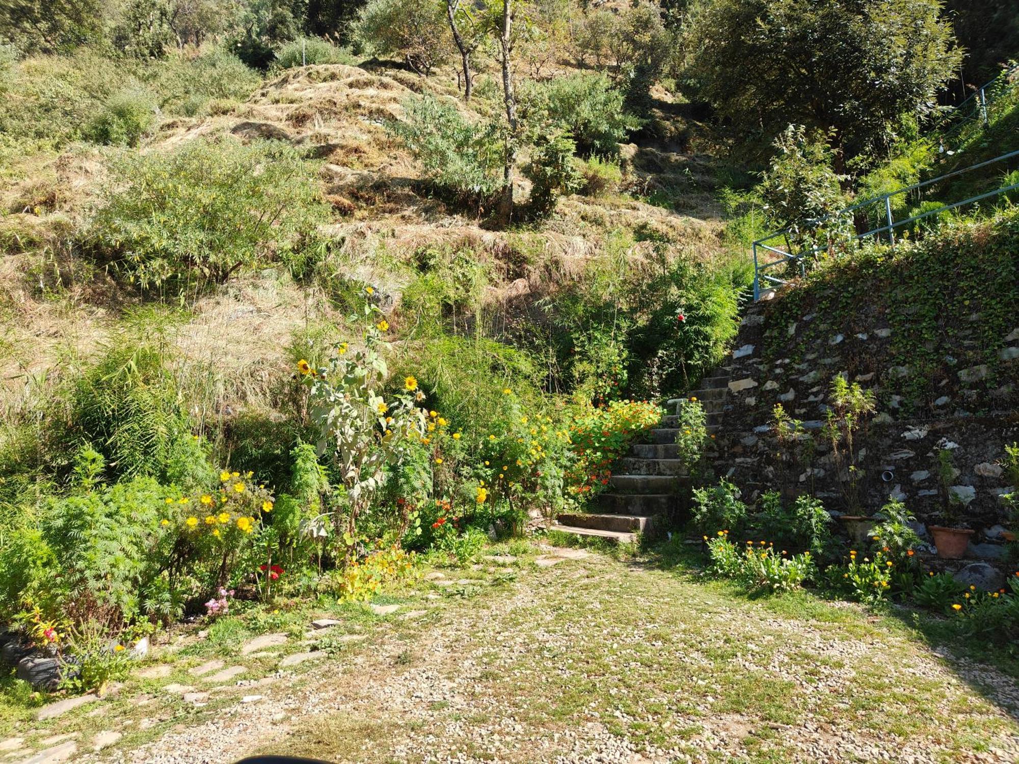 Himwanderer Camps & Cottages Pangot Nainital Esterno foto