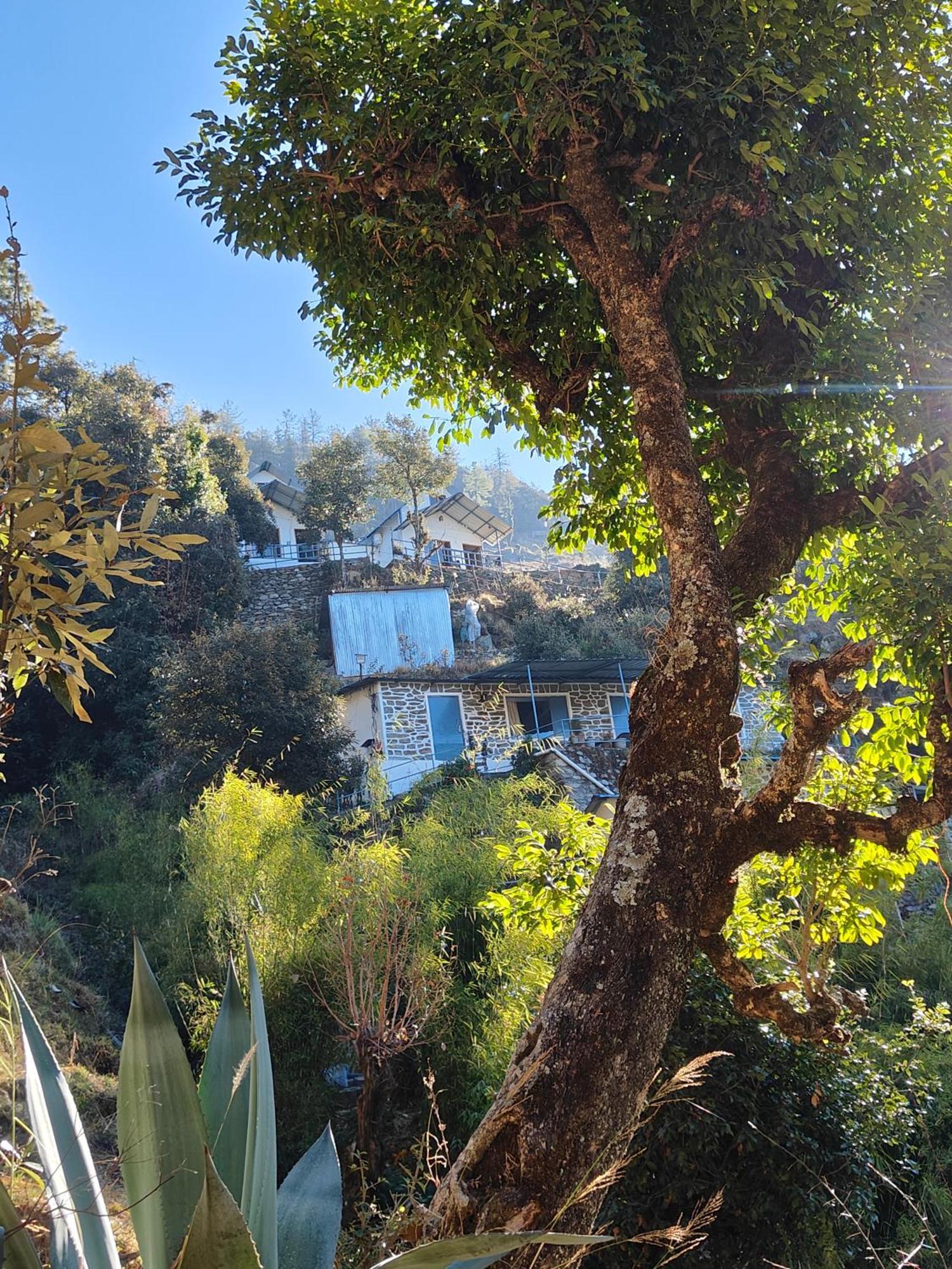 Himwanderer Camps & Cottages Pangot Nainital Esterno foto