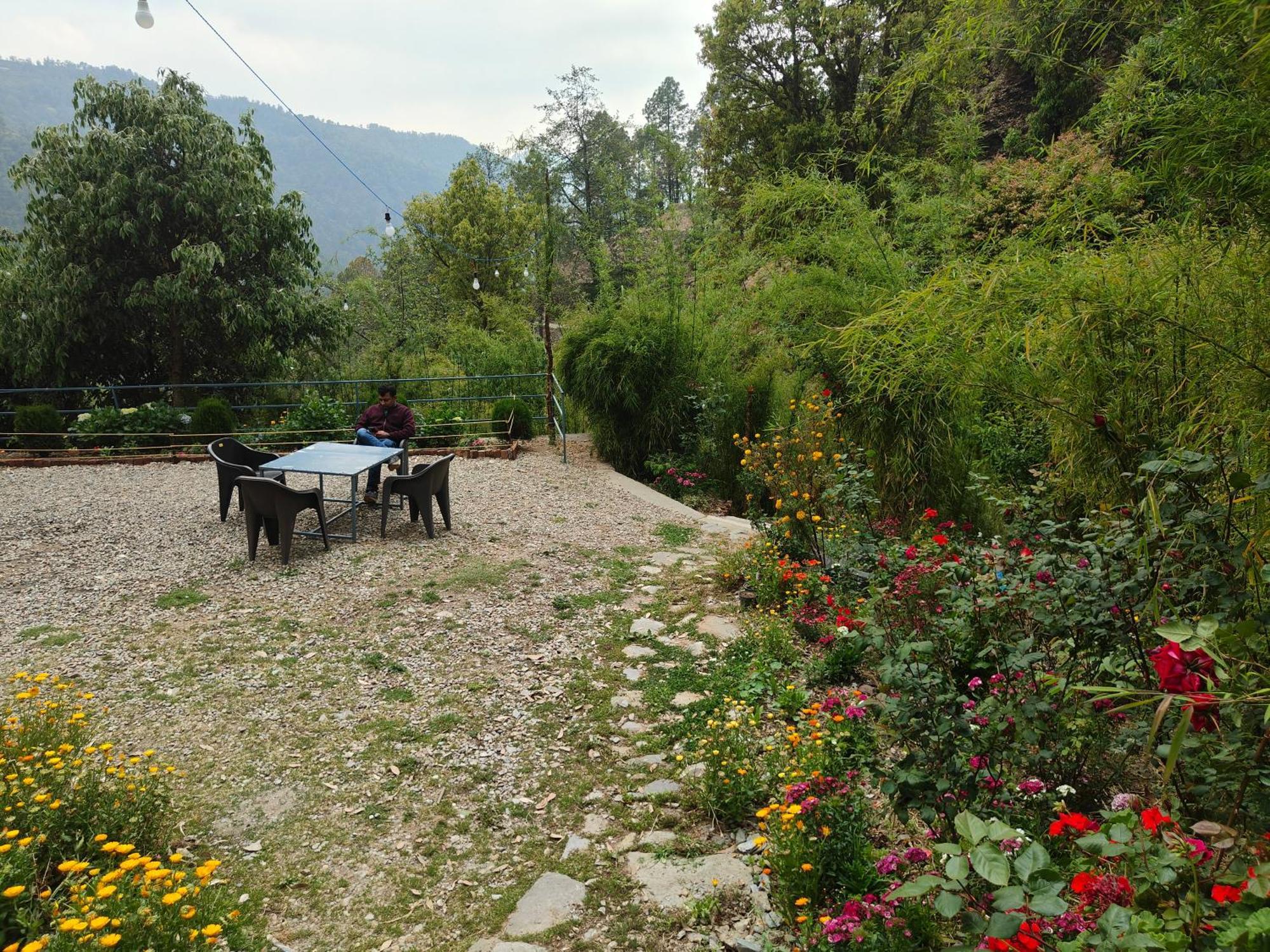 Himwanderer Camps & Cottages Pangot Nainital Esterno foto