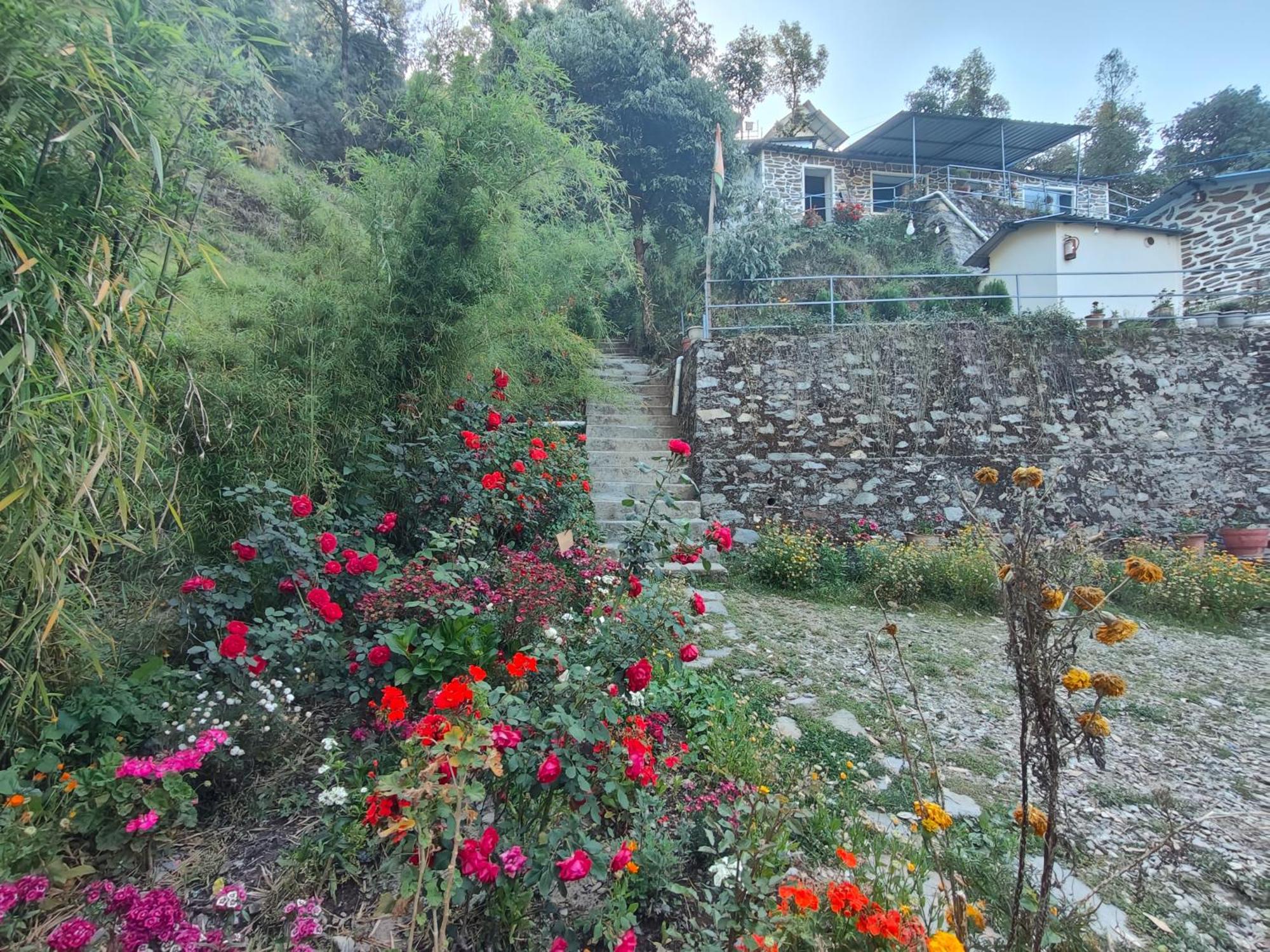 Himwanderer Camps & Cottages Pangot Nainital Esterno foto